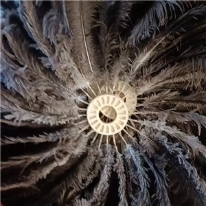 鸵鸟毛擦拭盘